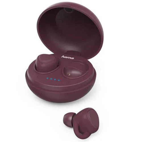 Miniatura 1