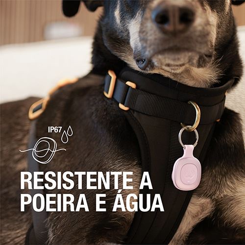 Imagem do produto 6