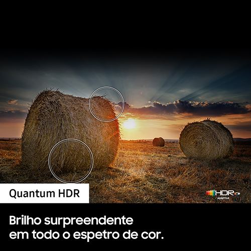 Imagem do produto 7