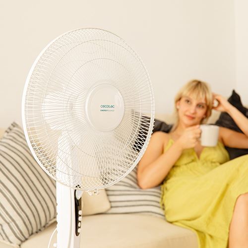 Imagem do produto 5